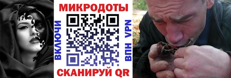 Галлюциногенные грибы Psilocybine cubensis  Кулебаки 