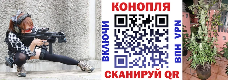 Шишки марихуана семена  Кулебаки 